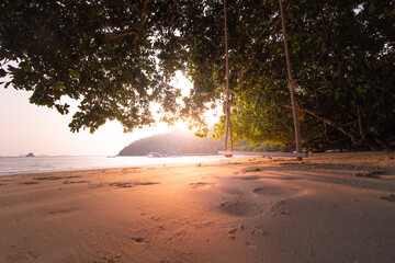 Golden sunset illuminates a peaceful beach scene with an inviting rope swing under the shade of...