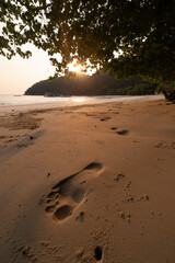 Golden sunset over a tranquil beach, with footprints leading towards the sea in portrait