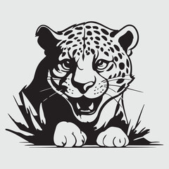 Mountain Lion, Leopard, Jaguar - Cat, Mascot, Black Leopard, Leopard, Jaguar - Cat, Animal Head, Anthropomorphic Face, Animal