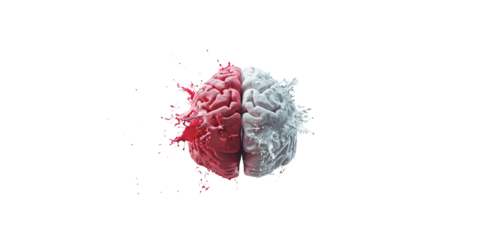  brain with right side red and left side white on light background