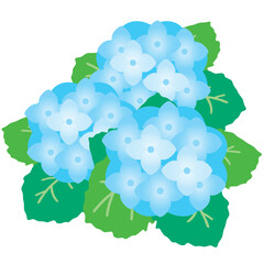 アジサイ3輪のベクターイラスト