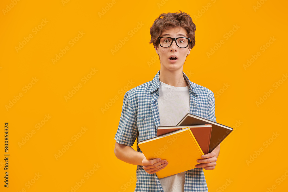 Wall mural schoolboy with books