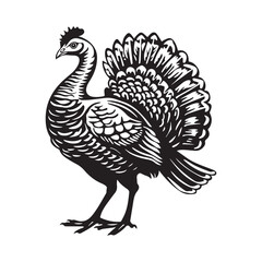Turkey Vector Illustration Stock Vector Image. illustration of a Turkey