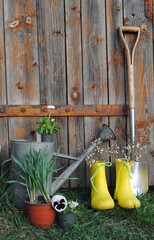 Gardening tools, watering can, flower seedlings and bright rubber boots on a wooden background.