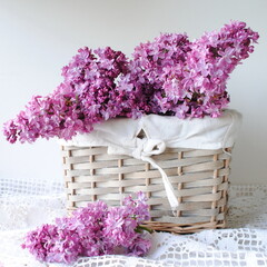 Bouquet of lilacs in a wicker wooden basket on a white background. Postcard, space for text, copy, background, view. Festive, romantic concept, mother's day, positive.