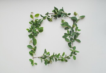 Frame, wreath of green leaves and branches on a white background. 