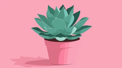 Flat solid color illustration of a sea green succulent plant in a small pot on a pink background