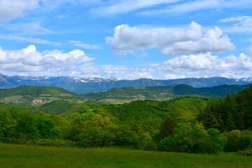 View of Trnovo forest plateau from Kras in Slovenia in summer