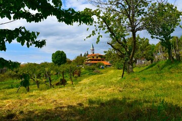 Meadow with trees at Kostanjevica na Krasu village with a church tower and a house in Primorska, Slovenia