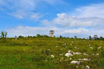 Tower at Cerje at Kras in Primorska, Slovenia at the top of a slope - obrazy, fototapety, plakaty