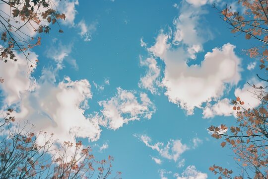 Anything & Everything: A Striking Digital Masterpiece