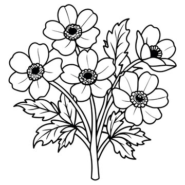 recommend clip art: Anemone Flower  Bouquet outline illustration coloring book page design, Anemone Flower  Bouquet black and white line art drawing coloring book pages for children and adults