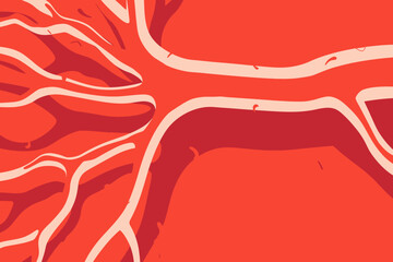 a simple flat illustration of an Artery, vector graphics