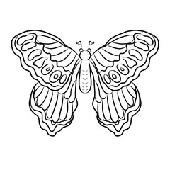 Colorful Butterfly art print poster,Butterfly wall decor.Set of realistic vector butterfly.Collection of vintage elegant illustrations of butterfly.Clip art.Design element for your project.line art