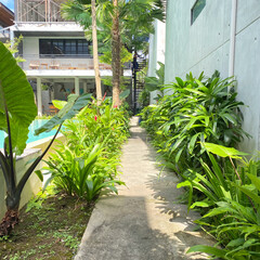 a sidewalk with a a lot of green plants and swimming pool background