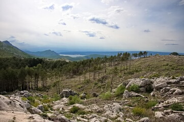 Mediterranean mountain landscape with downed trees