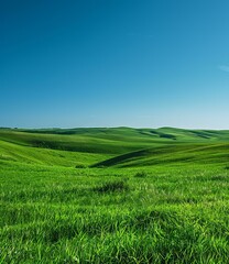 Fototapeta premium Green rolling hills under blue sky