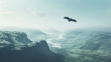 A captivating image of a lone bird soaring high above a vast landscape, symbolizing the search for freedom and perspective on World Schizophrenia Day.