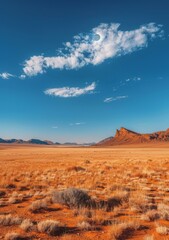 A vast arid desert landscape with mountains in the distance under a blue sky