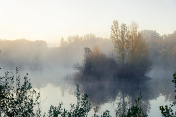 Foggy wetland at dawn in Fuentes Blancas, Burgos (Spain)