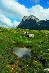Austrian Alps - view of the lagoon and mountain Widderstein near the village of Warth in the...