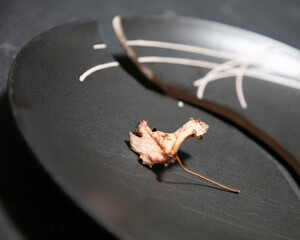 autumn meal, dry leaf on the black broken plate, old silver cutlery