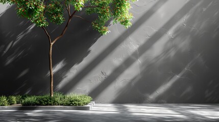 Shadows of leaves, plants on the wall and sidewalk. Tree silhouettes. Street, outdoors, nature. Black and white background for design. 3D render. Product, object. Show, display, podium.