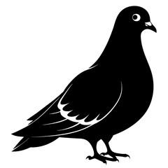 Pigeon of peace silhouette vector art illustration with white background

