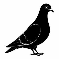 Pigeon of peace silhouette vector art illustration with white background
