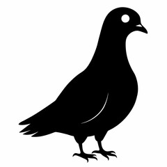 Pigeon of peace silhouette vector art illustration with white background
