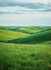 Green rolling hills under blue sky with white clouds
