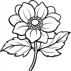 Anemone flower plant outline illustration coloring book page design, Anemone flower plant black and white line art drawing coloring book pages for children and adults