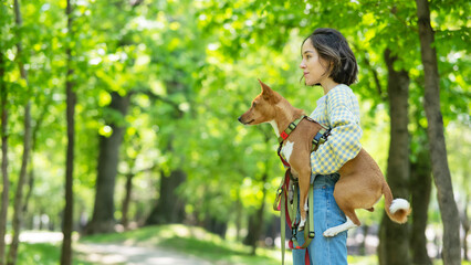 A young beautiful woman holds a dog in her arms for a walk. non-barking african basenji dog. 