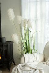 White big chair with blanket and big green plant near the window in cozy home interior with pastel...