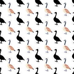 Canada geese. Color profiles of vintage style birds and black silhouettes. Seamless pattern. Vector illustration on white background.