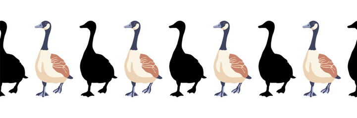 Canada goose. Seamless borders. Pattern of vintage style colored illustration and black silhouettes of birds walking forward. Vector illustration of geese on a white background.