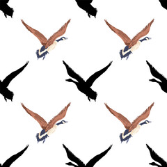 Canada geese. Black silhouettes and the color vintage style flying birds. Seamless pattern. Hand-drawn graphic design. Vector illustration on white background.
