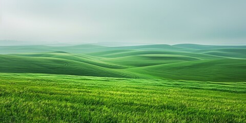 Obraz premium green rolling hills landscape photography