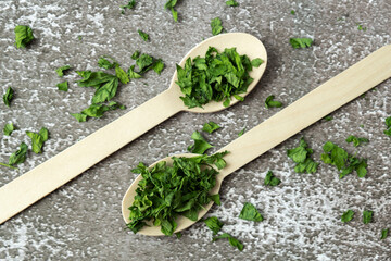 Wooden spoon with green dry parsley. Vegetarian bio organic salad herb healthy eating. Home garden...