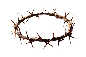 a crown of thorns on a white background