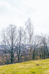 Cultural landscape by Skreia, Toten, Norway, in late April.