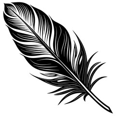 Obraz premium Feather silhouette vector illustration isolated on white background. 