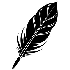 Obraz premium Feather silhouette vector illustration isolated on white background. 