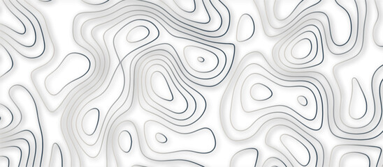 Abstract topographic contours 3d map background .topographic line texture background .monochrome image .stylized height of the topographic map contour in lines.	