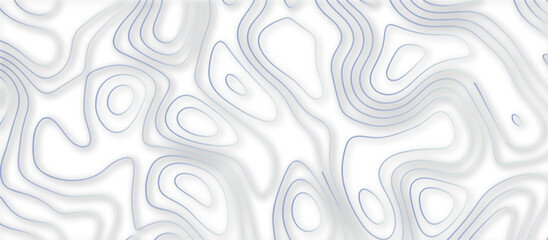 Abstract topographic contours 3d map background .topographic line texture background .monochrome image .stylized height of the topographic map contour in lines.	