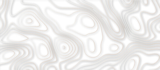 Abstract topographic contours 3d map background .topographic line texture background .monochrome image .stylized height of the topographic map contour in lines.	