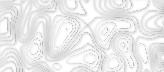 Abstract topographic contours 3d map background .topographic line texture background .monochrome image .stylized height of the topographic map contour in lines.	
