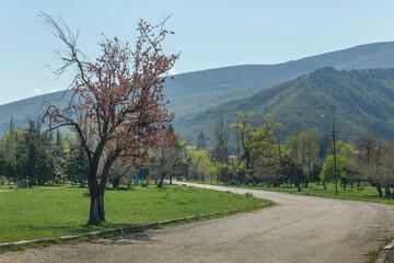 Mtskheta, Georgia