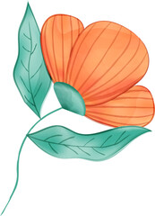 Orange petal