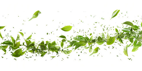 green tea cascades gracefully in midair, set against a tranquil white background.